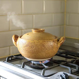 日本【長谷園】伊賀燒 日式燉煮湯鍋