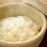 日本【長谷園】伊賀燒 陶珍 米飯儲存陶器 微波爐使用