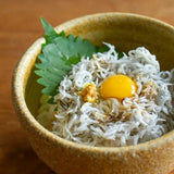 日本【長谷園】伊賀燒 陶珍 米飯儲存陶器 微波爐使用