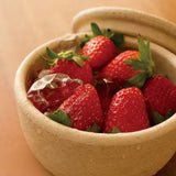 日本【長谷園】伊賀燒 陶珍 米飯儲存陶器 微波爐使用