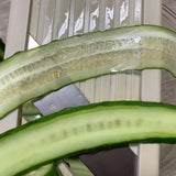 日本千葉工業所 QUIRELOIS 刨絲切片器