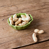 日本studio m' Rakott Krumpli 貝殼烤焗盤 迷你款