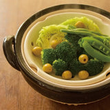 日本【長谷園】伊賀燒 多功能蒸煮兩用土鍋