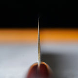 Sakai Takayuki 33-Layer VG10 Damascus Hammered Vegetable Knife 160mm