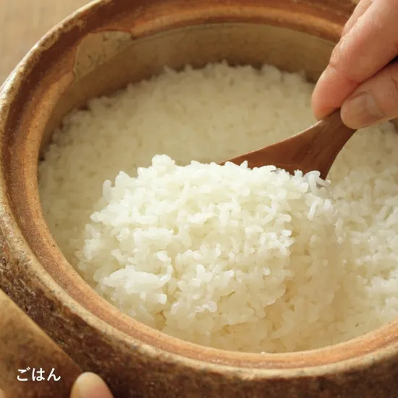 日本【長谷園】伊賀燒 日式燉煮湯鍋