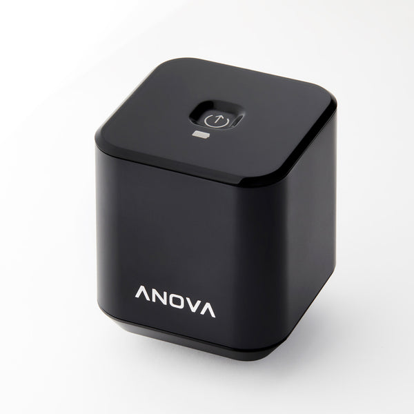 Anova Precision PORT™ 手持式無線真空封口機 Handheld Vacuum Sealer ANHV01-UK00 香港行貨