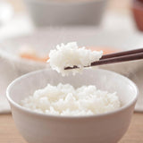 日本MARNA 「極」冷凍米飯保鮮盒 - 大號 (約1.5碗飯)