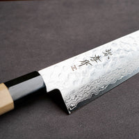 Sakai Takayuki 45-Layer AUS10 Damascus Hammered Gyuto Knife 210mm
