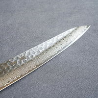 Sakai Takayuki 45-Layer AUS10 Damascus Hammered Petit Knife 150mm