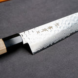 Sakai Takayuki 45-Layer AUS10 Damascus Hammered Santoku Knife 180mm