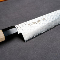 Sakai Takayuki 45-Layer AUS10 Damascus Hammered Santoku Knife 180mm