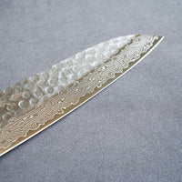 Sakai Takayuki 45-Layer AUS10 Damascus Hammered Santoku Knife 180mm