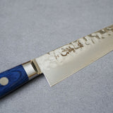 Sakai Takayuki 33-Layer VG10 Damascus Hammered Petit Knife with Blue Handle 150mm