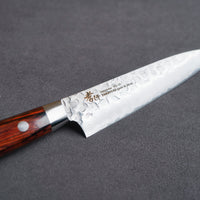 Sakai Takayuki 33-Layer VG10 Damascus Hammered Petit Knife 120mm