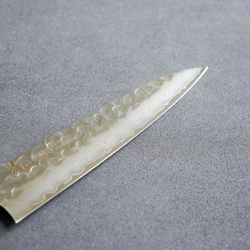 Sakai Takayuki 33-Layer VG10 Damascus Hammered Petit Knife 120mm