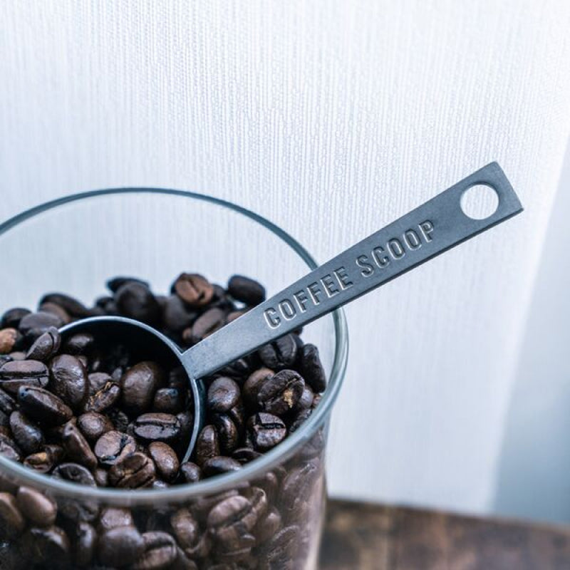 日本青芳 VINTAGE系列 不鏽鋼 咖啡豆量匙 Coffee Measure Spoon 10g