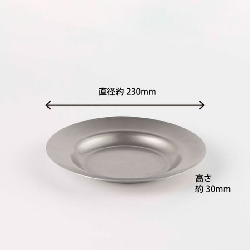日本青芳 VINTAGE系列 不鏽鋼意粉碟 Pasta Plate 23cm