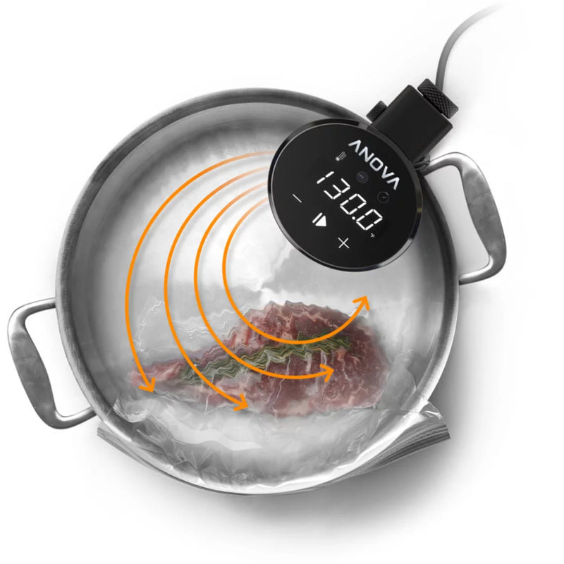 Anova Precision® Cooker 3.0 智能慢煮棒 AN525-UK00 香港行貨